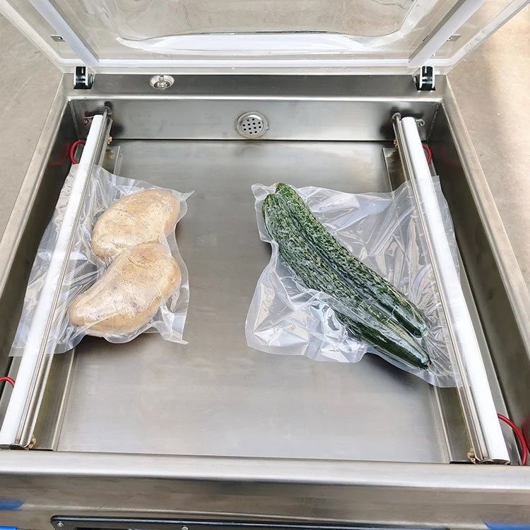 Single-chamber double-chamber vacuum packaging TPS-500/2SA